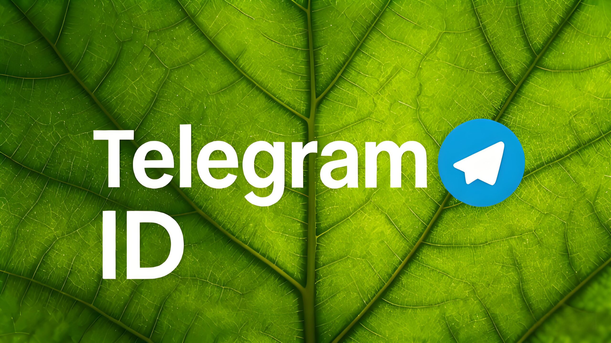 Telegram 使用者 ID 完整指南