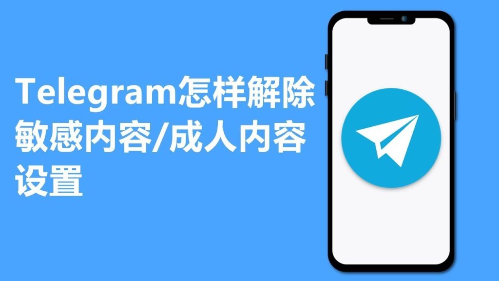 Telegram 无法关闭过滤器的原因：地区政策、官版限制与不同版本差异解析